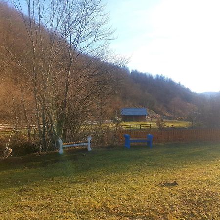 Vikendica Nole Jahorina Villa Pale Kültér fotó