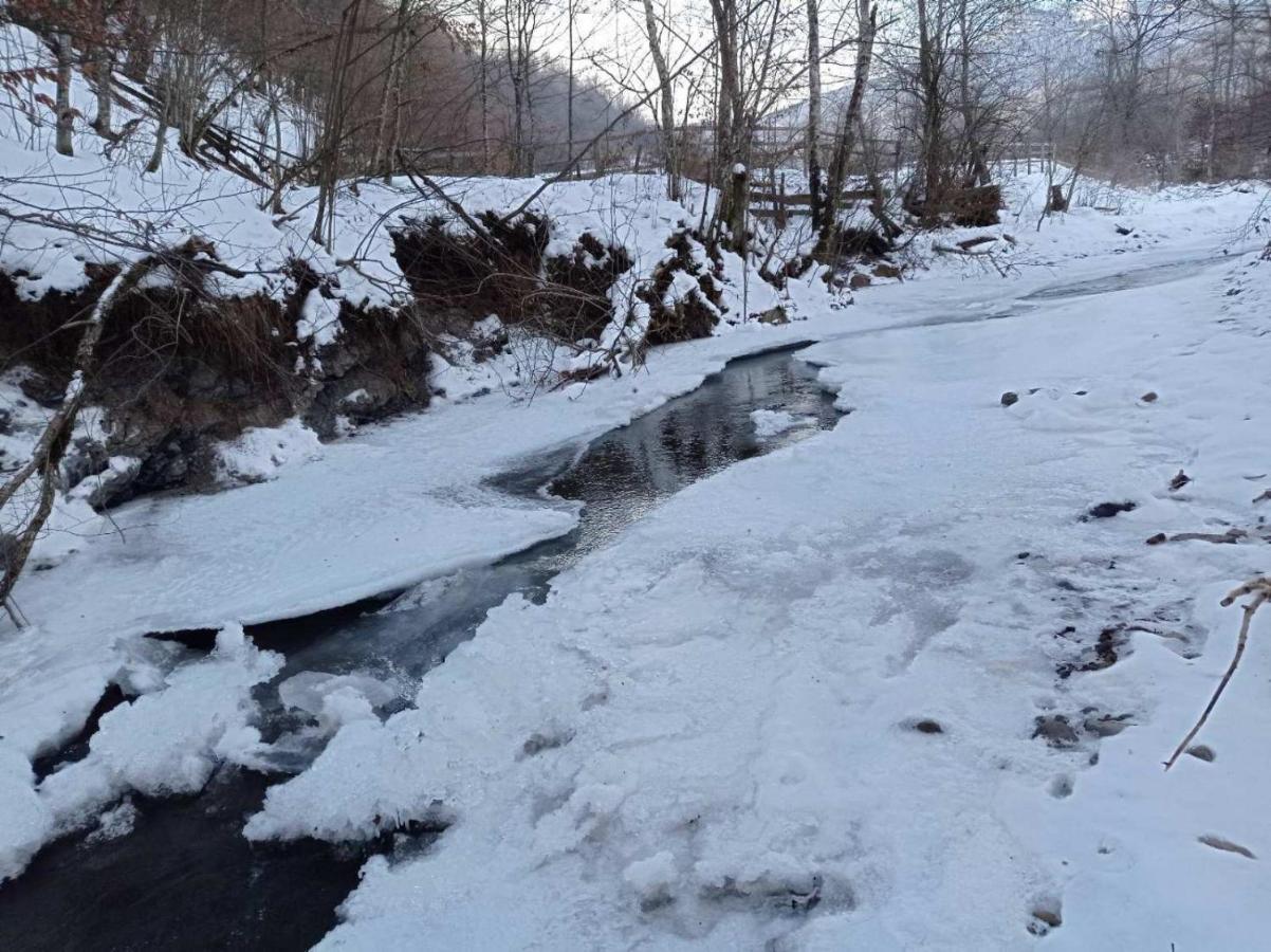 Vikendica Nole Jahorina Villa Pale Kültér fotó