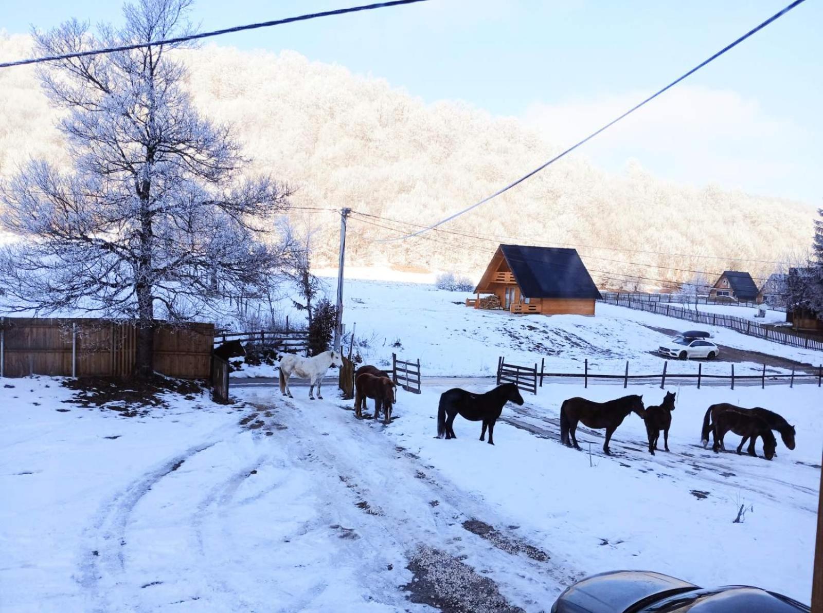 Vikendica Nole Jahorina Villa Pale Kültér fotó
